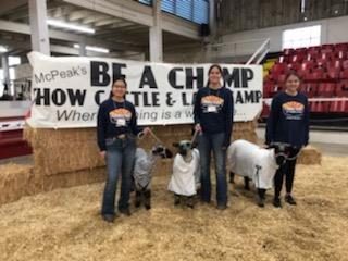 Lamb, 3 owners